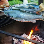 Urlaub Mit Alpakas Sabrodt