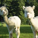 Apartman Urlaub Mit Alpakas *
