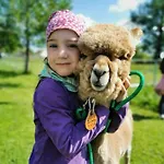 Urlaub Mit Alpakas Apartman