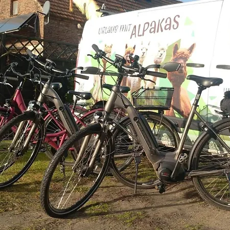 Urlaub Mit Alpakas *