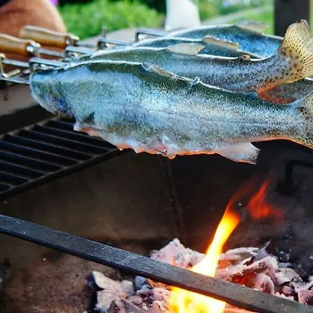 Urlaub Mit Alpakas Sabrodt