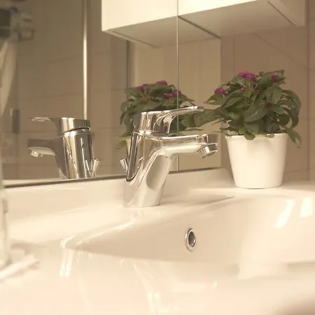 Lägenhet Urlaub Mit Alpakas Sabrodt