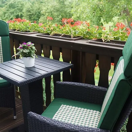 Apartment Urlaub Mit Alpakas