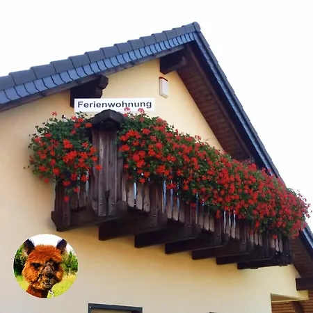 Urlaub Mit Alpakas *