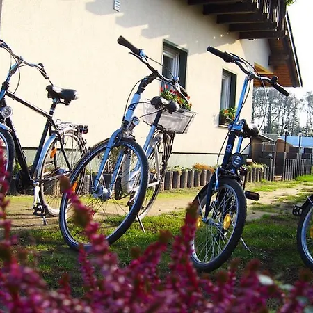 Lägenhet Urlaub Mit Alpakas