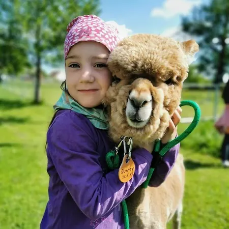 Urlaub Mit Alpakas Lägenhet