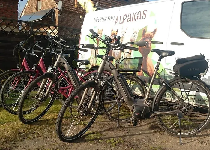 Urlaub Mit Alpakas *