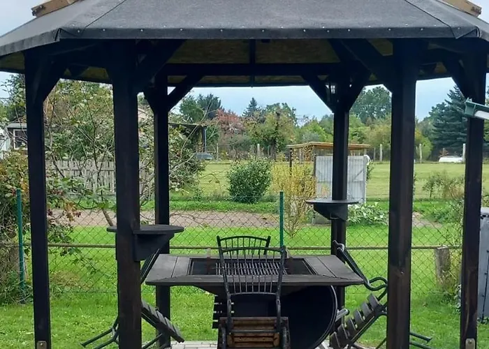 Urlaub Mit Alpakas *