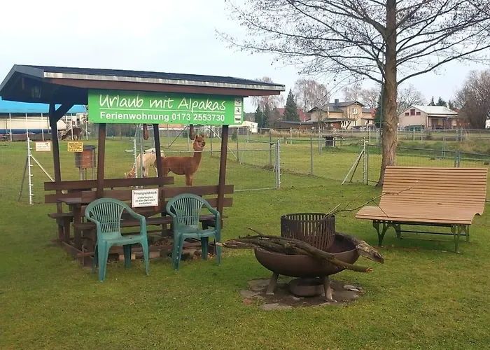 Urlaub Mit Alpakas アパート Sabrodt