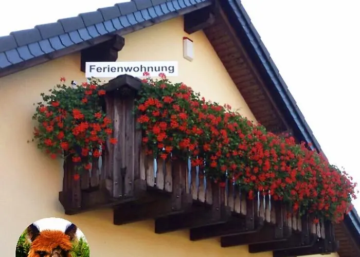 Urlaub Mit Alpakas *