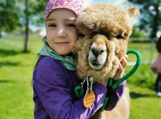 Urlaub Mit Alpakas アパート